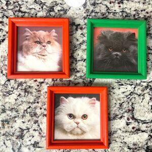Vintage Kitty Set of 3 Small Cat Picture Prints "Grumpy Kitties" Persian 4.5x4.5